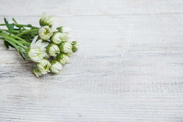 Hermosas flores sobre fondo de madera, concepto de primavera