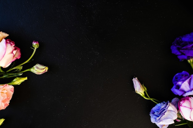 Foto hermosas flores sobre fondo oscuro.