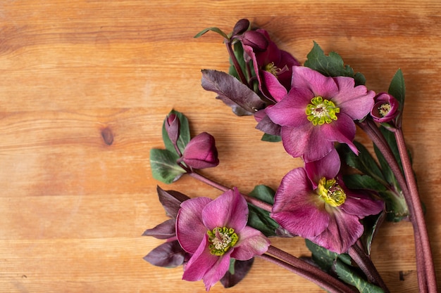 Foto hermosas flores. el trabajo de la floristería. entrega de flores.