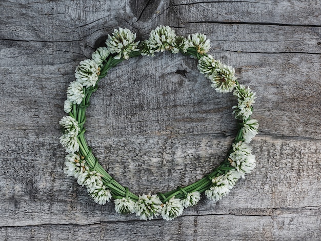 Hermosas flores de trébol tumbados en tablas.