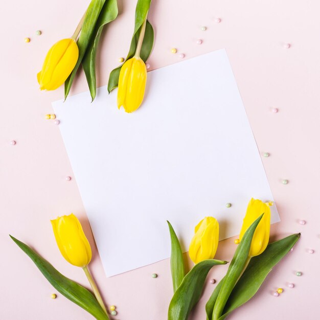 Hermosas flores de tulipán amarillo sobre fondo rosa pastel para palabras de felicitación