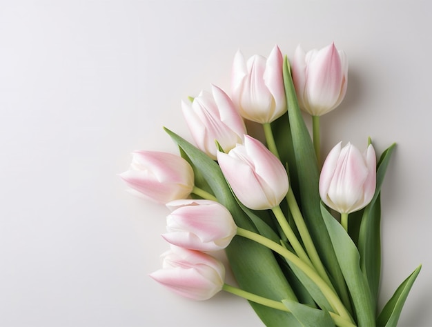 Hermosas flores de tulipán con copia Vista superior del fondo del espacio Espacio para texto