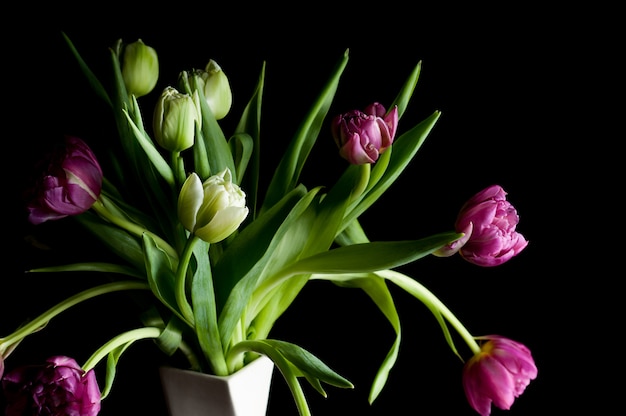 Hermosas flores de tulipán en florero