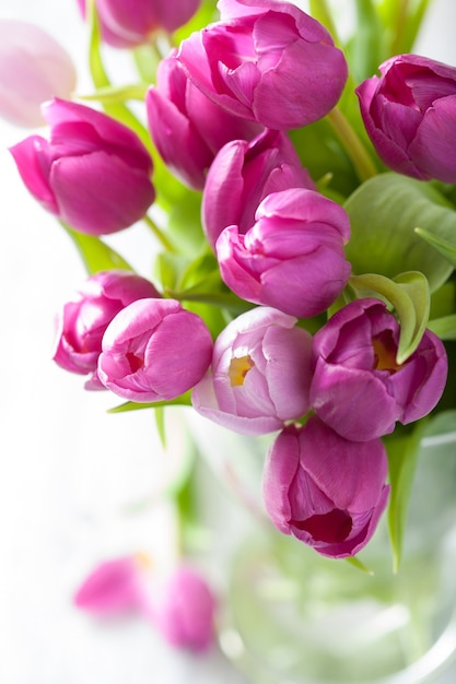 Hermosas flores de tulipán púrpura en florero