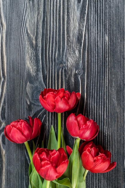 Hermosas flores de tulipán sobre fondo de madera, postal de vacaciones