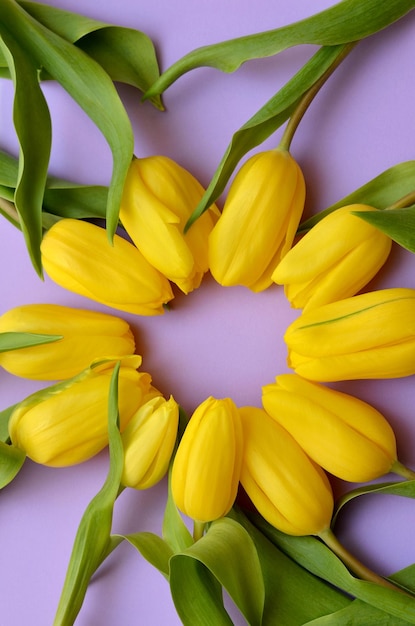 Hermosas flores de tulipanes amarillos para el día de la madre.