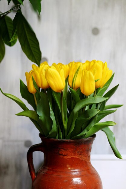 Hermosas flores de tulipanes amarillos