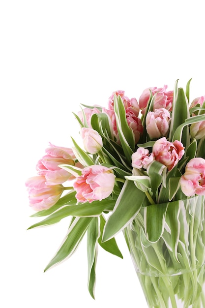 Hermosas flores de tulipanes de color rosa. Muchas flores se cierran