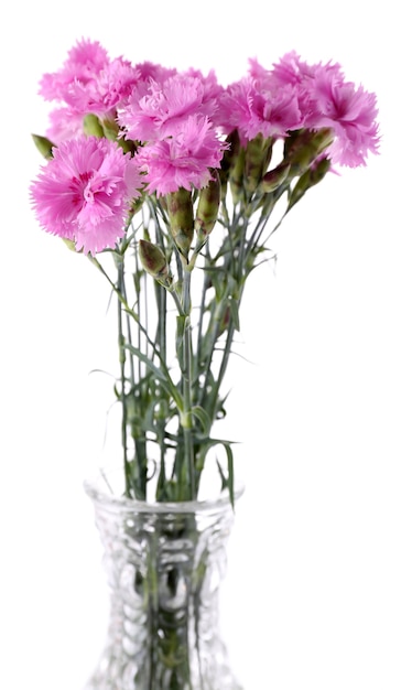 Hermosas flores de verano en florero, aislado en blanco