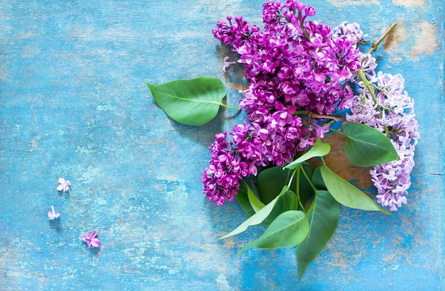 Hermosas flores violetas lilas frescas sobre un fondo de madera azul.