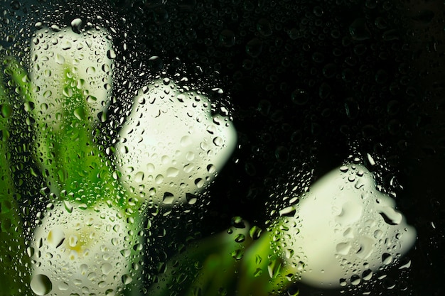 Foto hermosas flores vistas detrás del vidrio de humedad