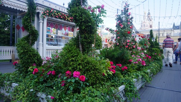 hermosas flores