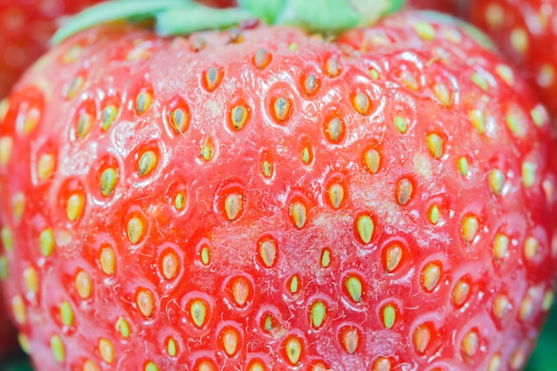 Hermosas fresas aisladas en blanco