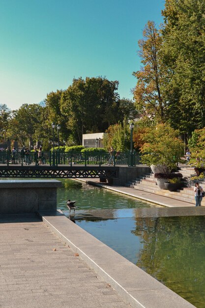 hermosas fuentes en el parque de Kharkiv