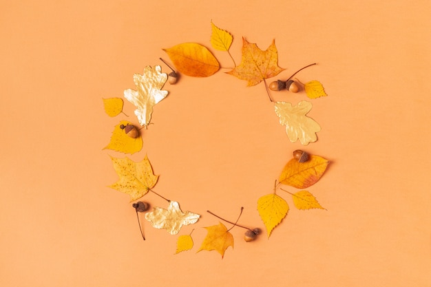 Hermosas hojas de otoño sobre un fondo amarillo