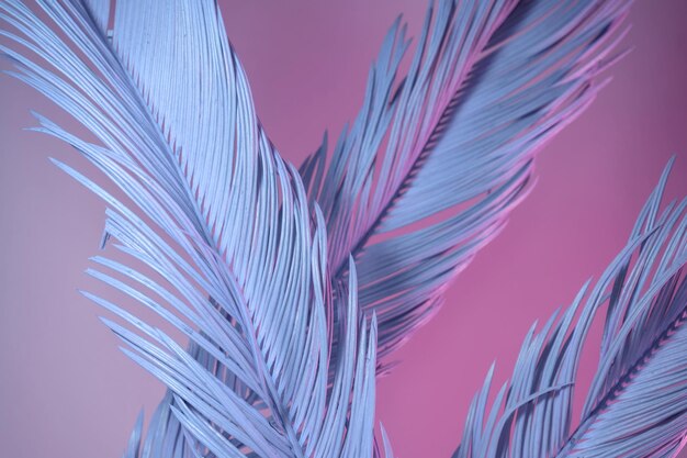 Hermosas hojas de palma con luz de neón concepto de estilo retro minimalismo textura de patrón de fondo para de