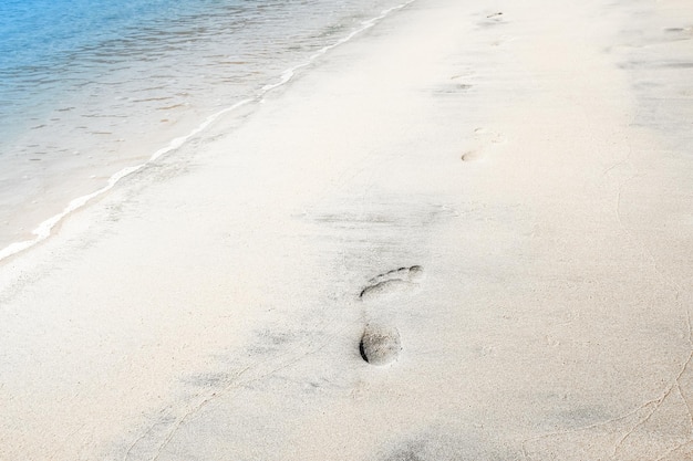 Foto hermosas huellas en la playa en la naturaleza junto al mar