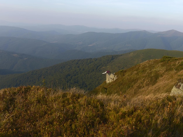 Hermosas laderas de montaña cubiertas de hierba verde y bosque en el día de verano en el cielo nublado