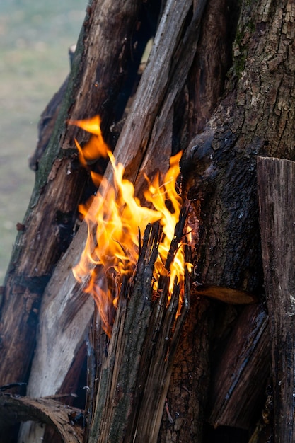 Hermosas llamas de fuego en una fogata