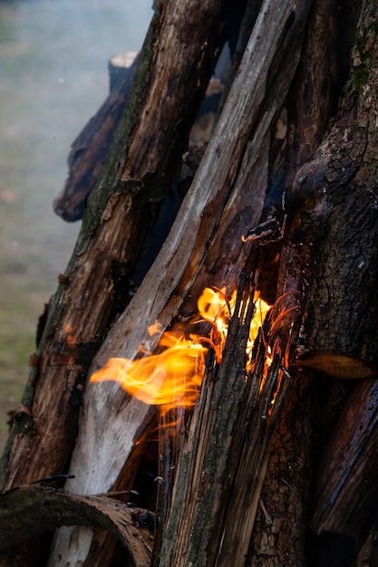 Hermosas llamas de fuego en una fogata