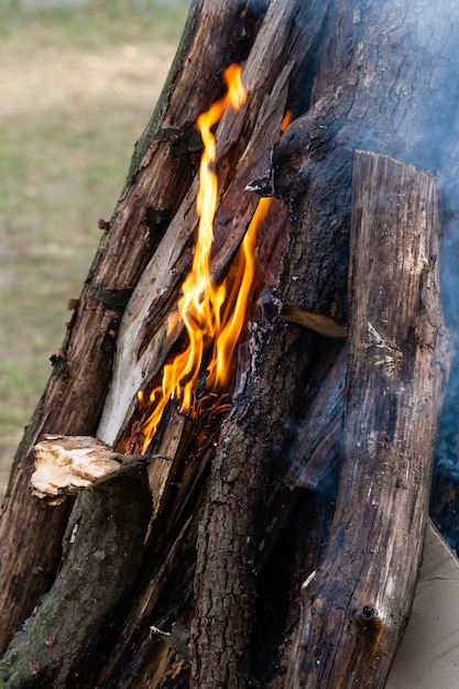 Hermosas llamas de fuego en una fogata