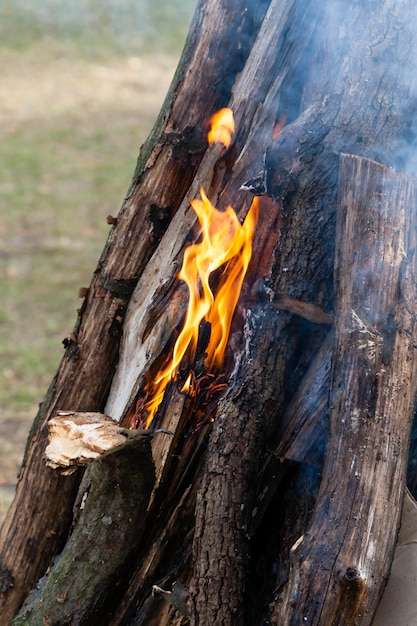 Hermosas llamas de fuego en una fogata