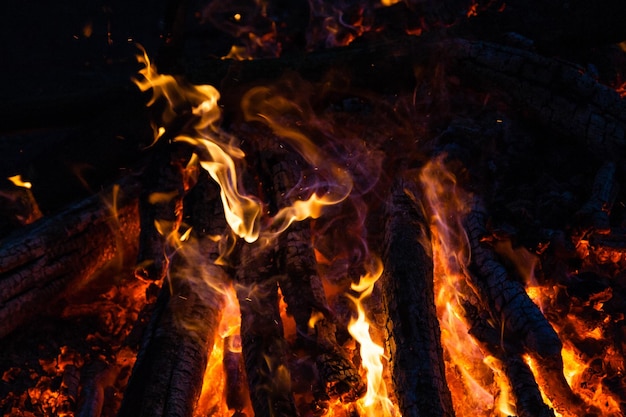 Hermosas llamas de fuego en una fogata