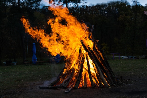 Hermosas llamas de fuego en una fogata