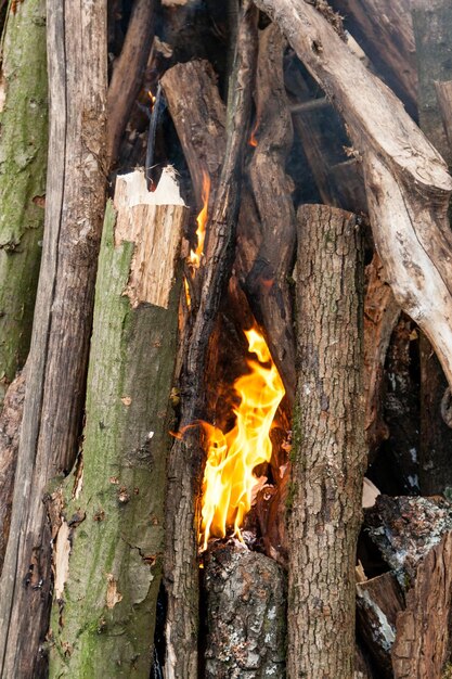 Hermosas llamas de fuego en una fogata