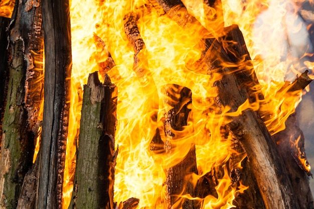 Hermosas llamas de fuego en una fogata