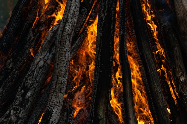 Hermosas llamas de fuego en una fogata