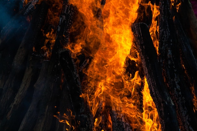 Hermosas llamas de fuego en una fogata