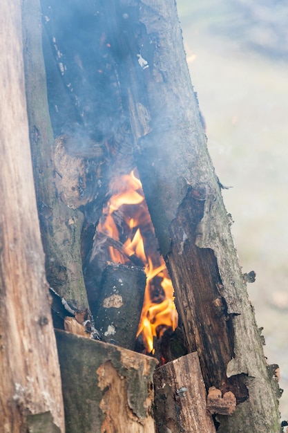 Hermosas llamas de fuego en una fogata