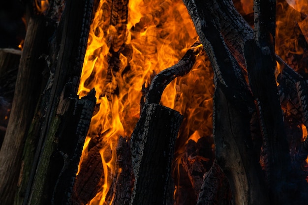 Hermosas llamas de fuego en un primer plano de fogata