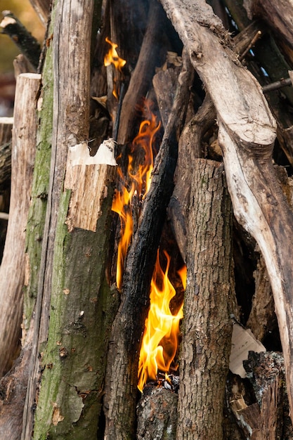 Hermosas llamas de fuego en un primer plano de una fogata