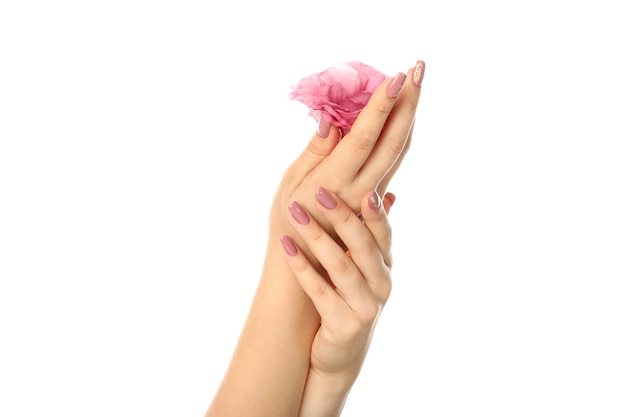 Foto hermosas manos femeninas con flores aisladas sobre fondo blanco.