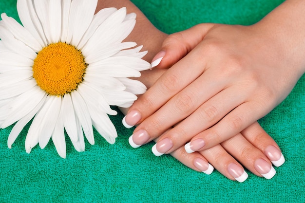 Hermosas manos femeninas con manicura francesa