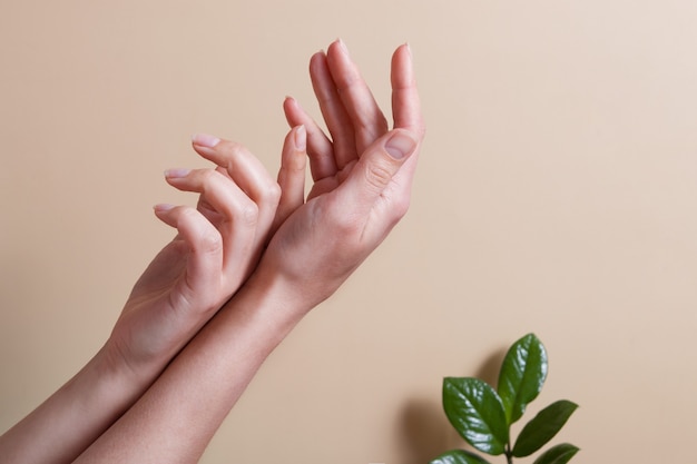 Foto hermosas manos femeninas sobre una superficie beige con hojas verdes