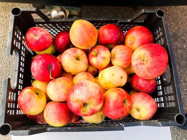 Hermosas manzanas rojas, amarillas, frescas, naturales, ecológicas, deliciosas, jugosas y saludables en un plástico negro