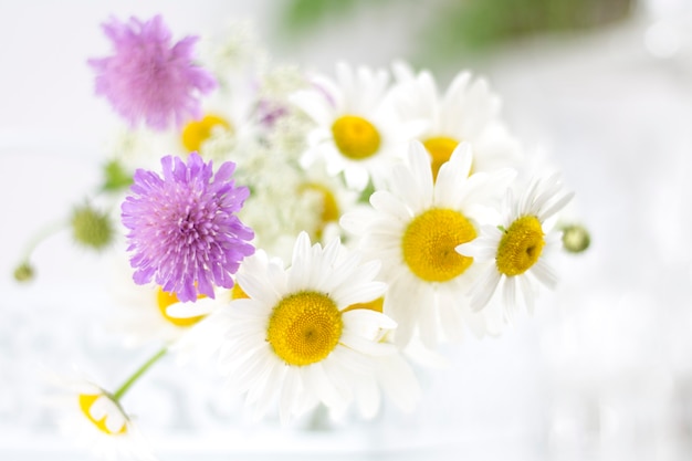Hermosas margaritas y otras flores sobre una mesa blanca.