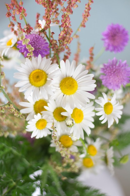 Hermosas margaritas y otras flores sobre una mesa blanca.