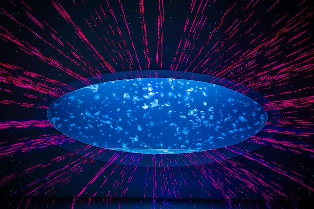 Hermosas medusas en la luz de neón en el fondo de la naturaleza del acuario