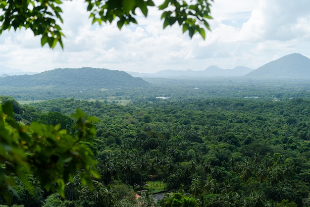 Hermosas montañas en el centro de Sri Lanka