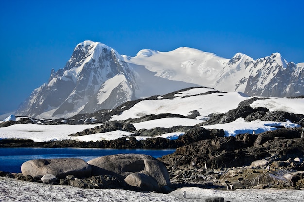 Hermosas montañas nevadas