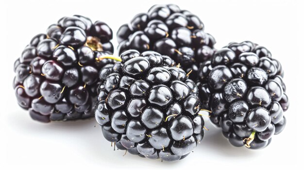 Hermosas moras aisladas sobre un fondo blanco producto del mercado de la granja de moras frescas