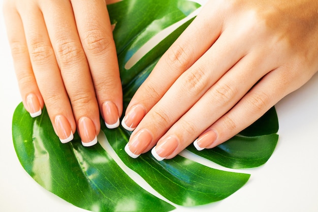 Hermosas uñas de mujer con manicura francesa, en estudio de belleza