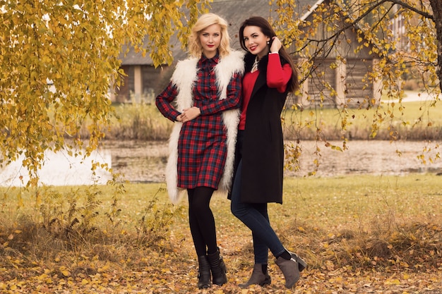 hermosas mujeres en el parque otoño