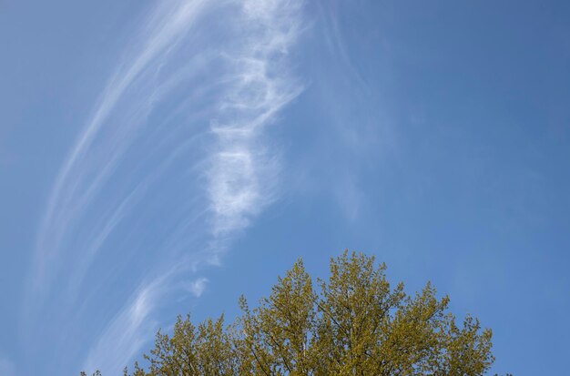 hermosas nubes blancas sobre un fondo de cielo azul