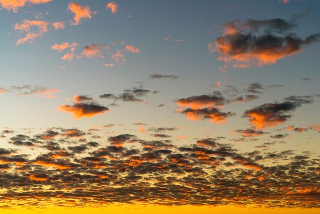 Foto hermosas nubes doradas iluminadas por los rayos del sol al atardecer flotan a través del cielo amarillo-azul.