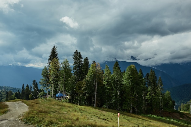 Hermosas nubes y niebla entre el paisaje forestal de montaña